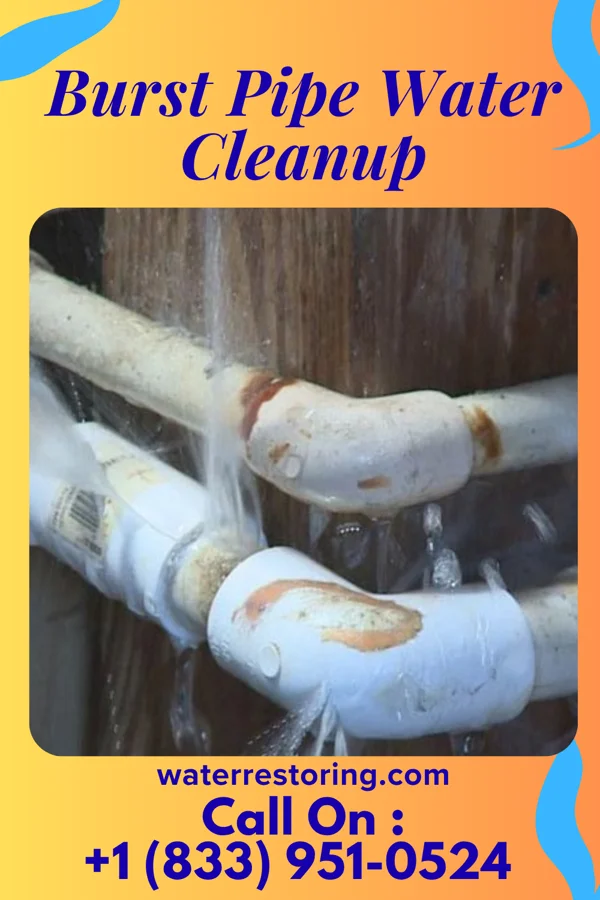 Burst Pipe Water Cleanup in Houtzdale, PA
