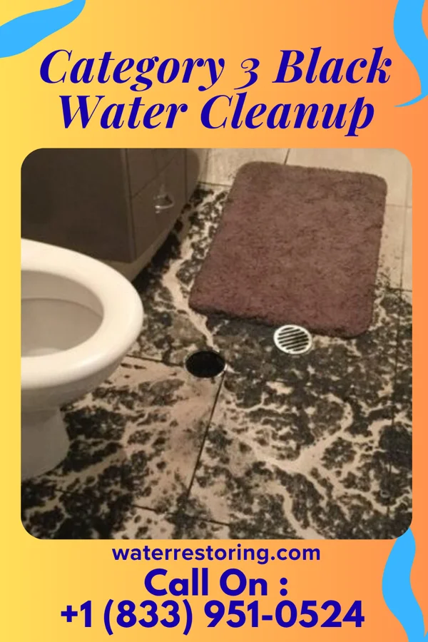 Category 3 Black Water Cleanup in Houtzdale, PA