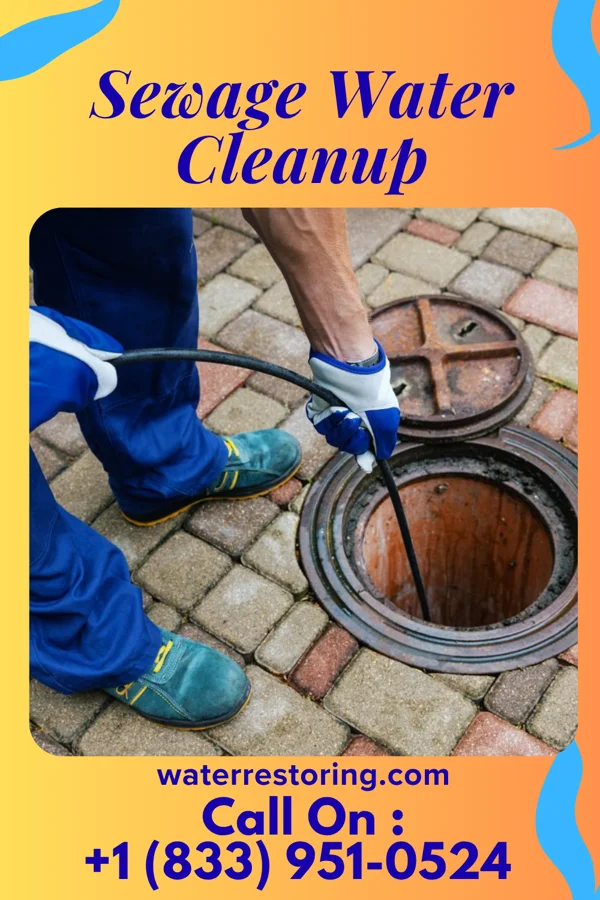 Sewage Water Cleanup in Houtzdale, PA