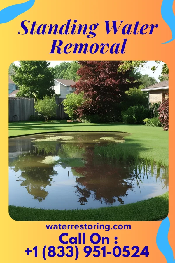 Standing Water Removal in Houtzdale, PA
